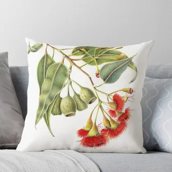 Corymbia ficifolia - Красная Цветущая резинка, подушка, Наволочки, Декоративный чехол для дивана, Набор чехлов для подушек