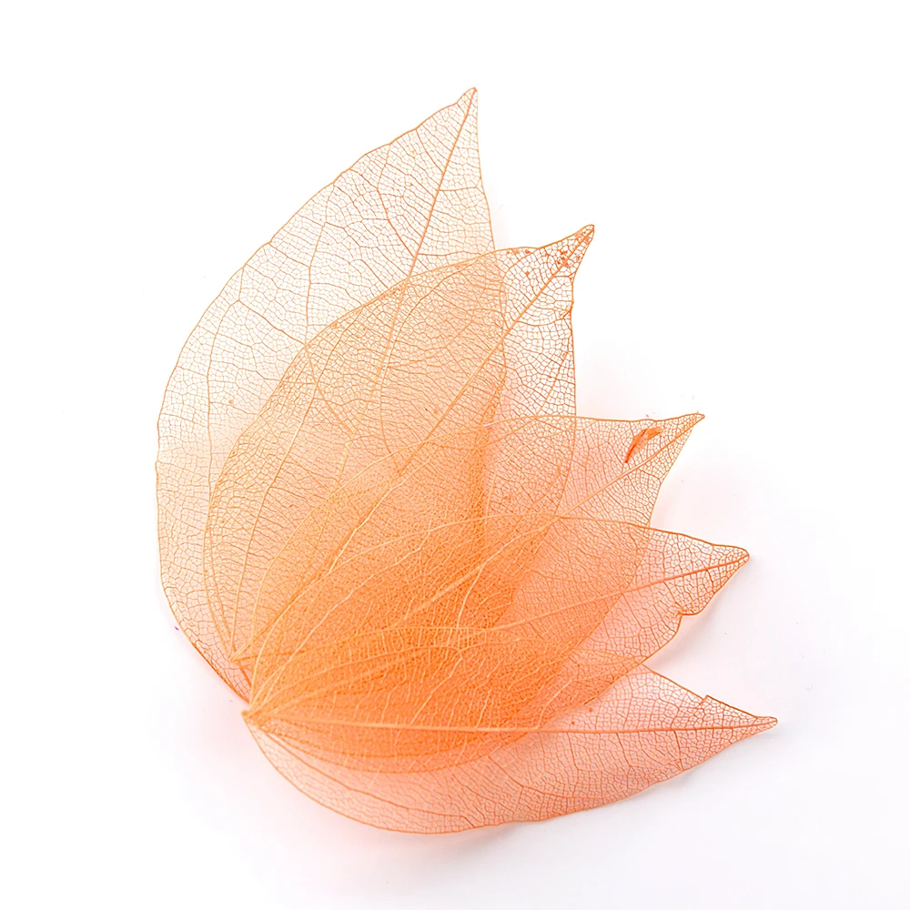5 шт./пакет 3D Консервированные Сушеные листья для дизайна ногтей, нанесенные на УФ-гель-лак, наклейки, Дизайнерские украшения, Маникюр, аксессуары своими руками Изображение 1