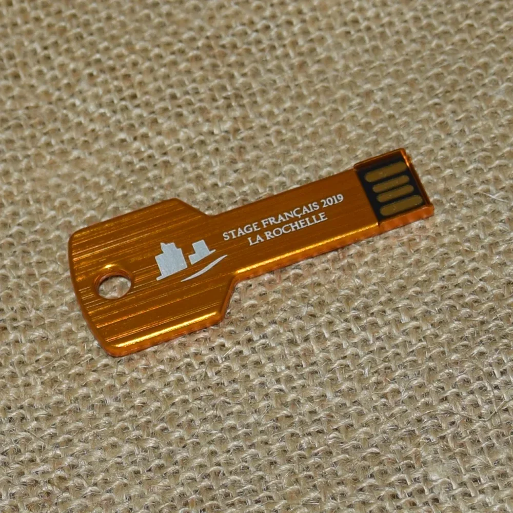 10 шт./лот пользовательский логотип USB Флэш-Накопитель Металлический Ключ Флешка 32g 16g Водонепроницаемый Флеш-Накопитель USB2.0 Memory Stick USB Flash Custom Metal Изображение 2