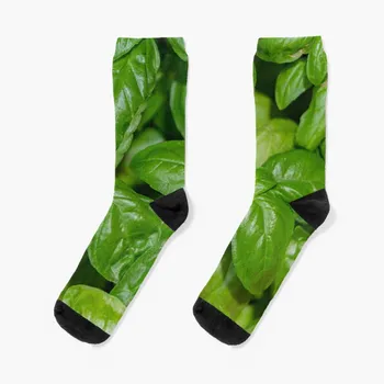 Деталь из зеленых листьев итальянского базилика Носки кавайные спортивные чулки Женские Носки Мужские
