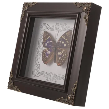 Образец бабочки в деревянной рамке Образец дисплея бабочки в рамке тени бабочки