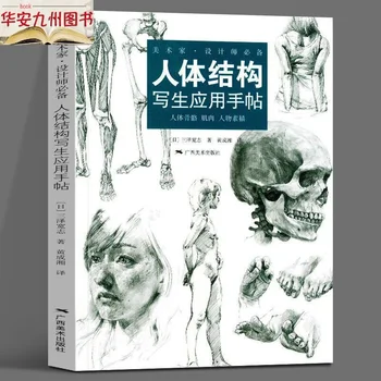 Рисование Структуры Человеческого Тела Для Девочек Sansawa Hiroshi Дизайн Моделирования Структуры Человеческого Тела, Раскрашенный Вручную Эскиз